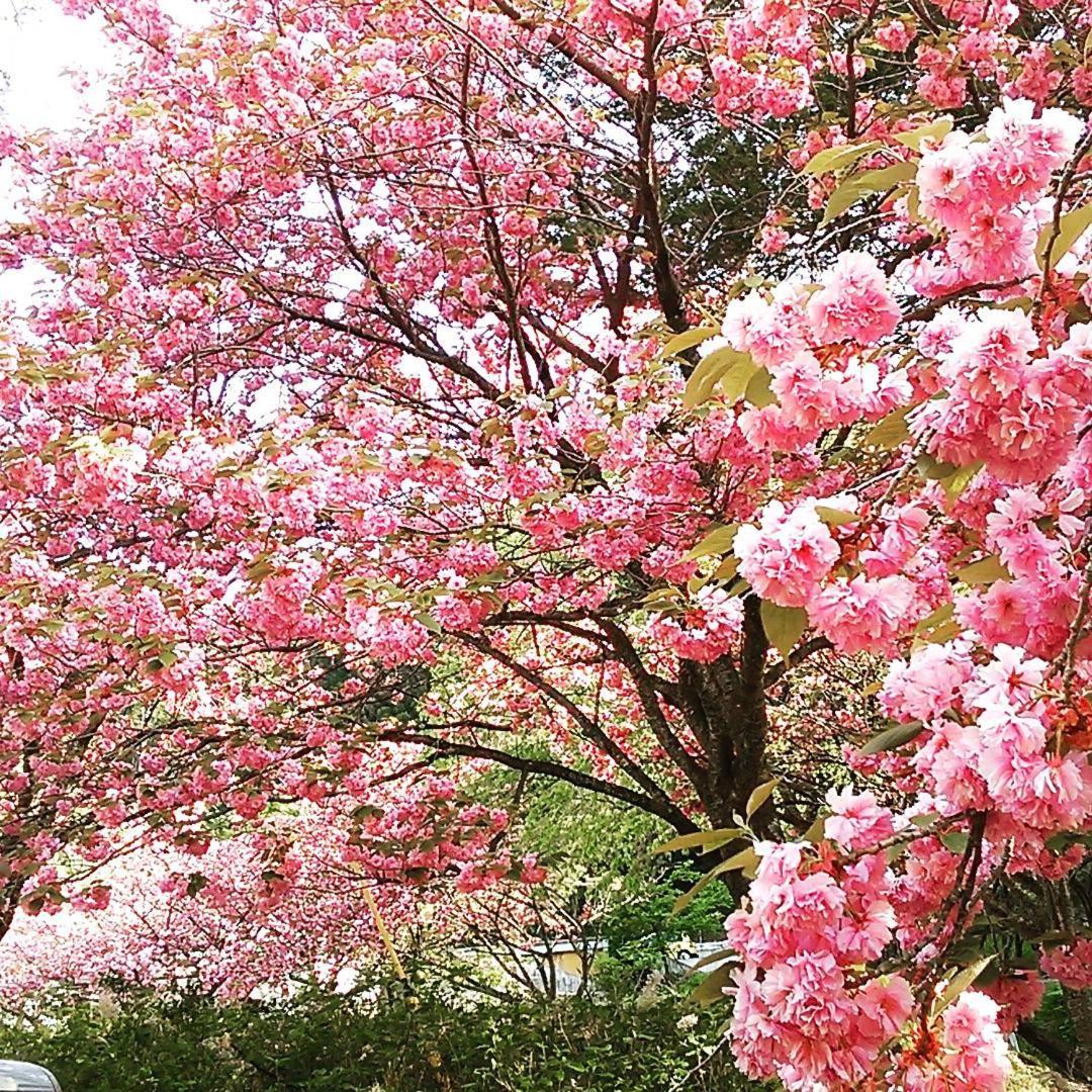 Nakanojo Ayameya Ryokan מראה חיצוני תמונה